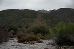 photo thumbnail #12