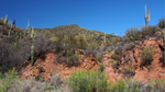 photo thumbnail #5
