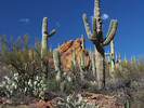 photo thumbnail #6