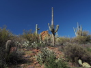 photo thumbnail #7