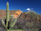 photo thumbnail #8