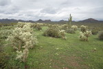 photo thumbnail #5