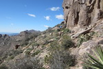 photo thumbnail #11