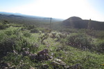 photo thumbnail #15