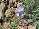 photo thumbnail #14