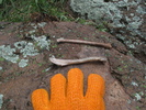 photo thumbnail #6