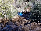 photo thumbnail #3