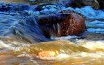 Featured Detail Photo