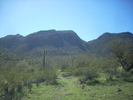 photo thumbnail #4