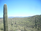 photo thumbnail #5
