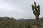photo thumbnail #1