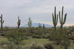 photo thumbnail #2