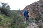 photo thumbnail #3