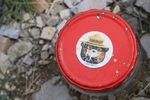 photo thumbnail #4