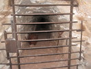 photo thumbnail #9