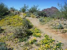 photo thumbnail #3