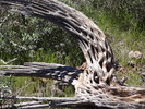 photo thumbnail #11