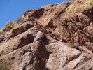 photo thumbnail #15