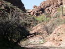 photo thumbnail #3