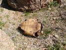 photo thumbnail #14