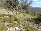 photo thumbnail #15