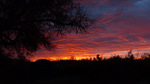 photo thumbnail #15
