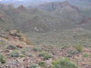 photo thumbnail #7