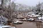 photo thumbnail #6