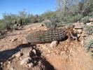 photo thumbnail #1