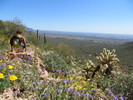 photo thumbnail #7