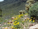 photo thumbnail #8
