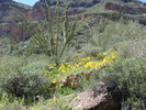 photo thumbnail #12