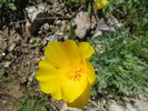 photo thumbnail #14