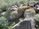 photo thumbnail #15