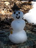 photo thumbnail #4