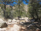 photo thumbnail #6
