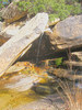 photo thumbnail #12