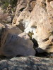 photo thumbnail #13