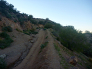 photo thumbnail #2