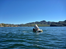 photo thumbnail #4