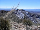 photo thumbnail #3