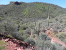 photo thumbnail #6