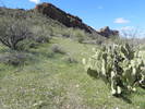 photo thumbnail #10