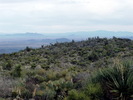 photo thumbnail #8