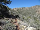 photo thumbnail #6