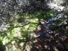 photo thumbnail #11