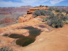 photo thumbnail #12