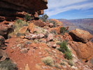 photo thumbnail #15