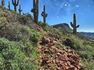 photo thumbnail #4