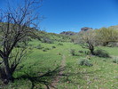 photo thumbnail #5